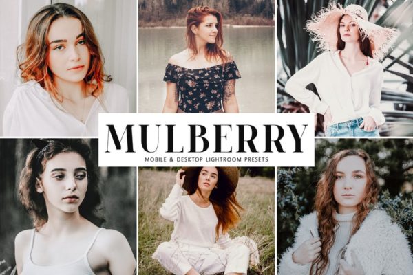 肖像摄影暖色系调色滤镜素材库精选LR预设套件 Mulberry Mobile &amp; Desktop Lightroom Presets