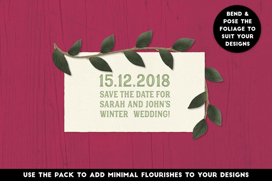 圣诞节矢量花卉AI笔刷 The Vector Florist – Brushes: Winter插图(3)