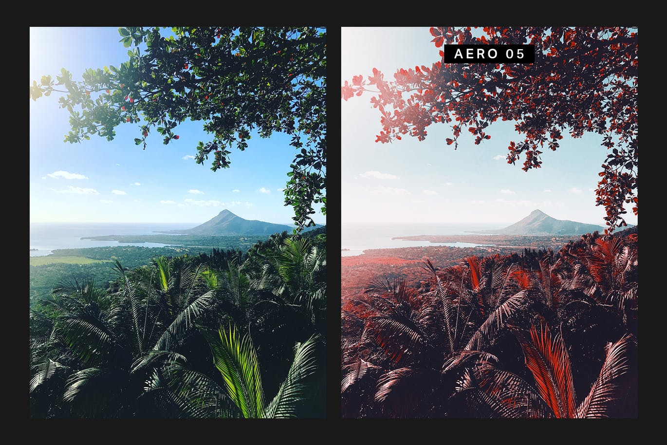 50款柯达Aerochrome红外胶片效果调色滤镜LR预设下载 50 Epic Red Lightroom Presets and LUTs插图(7)