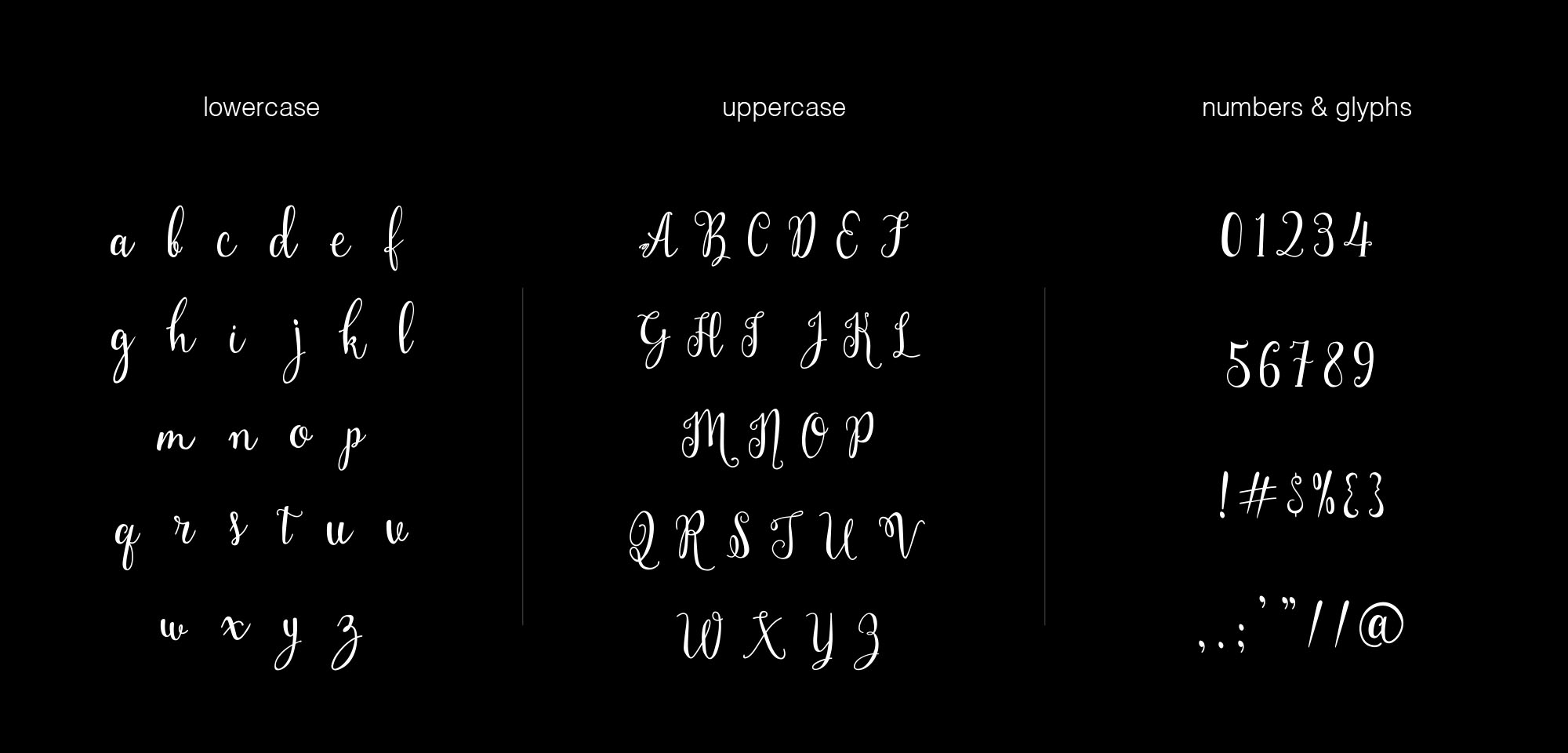 会“跳舞”的英文浪漫书法字体 Holland Script Handwriting Font插图(2)