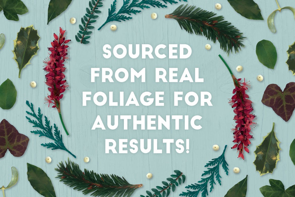 逼真植物花卉图案AI笔刷 The Vector Florist – Brushes: Winter插图(7)