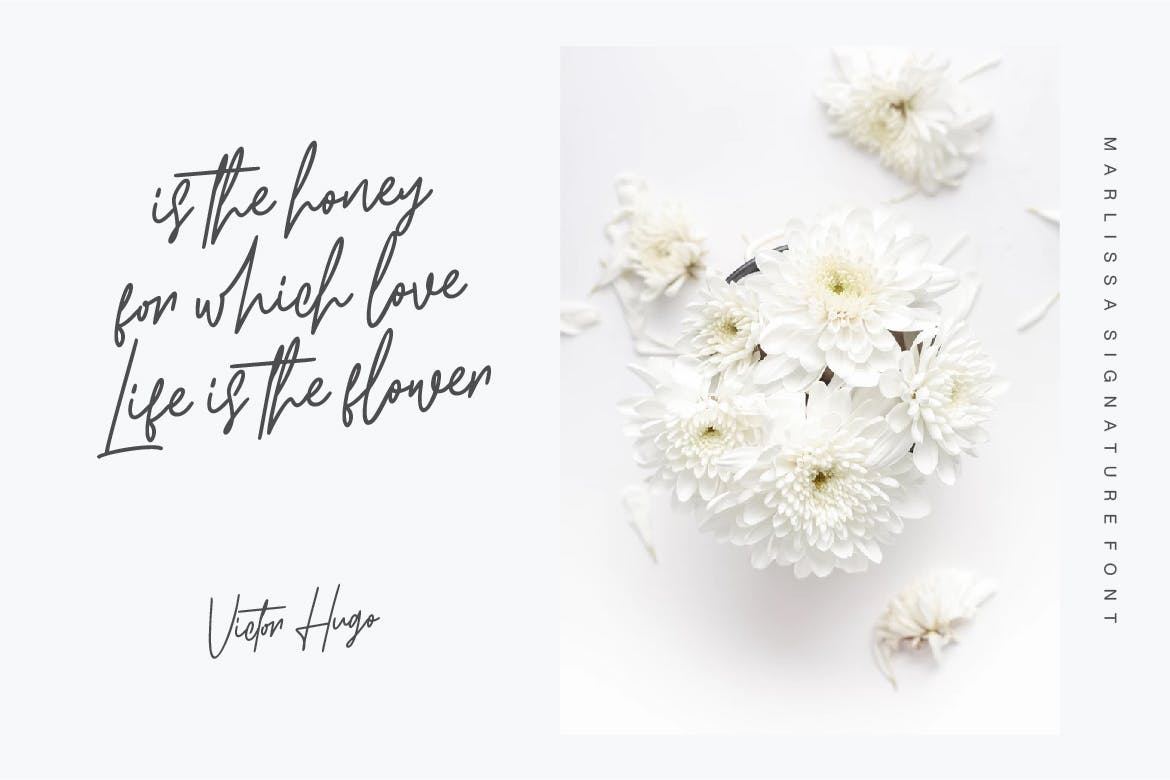 优雅流畅英文钢笔签名字体下载 Marlissa – Signature Font插图(3)