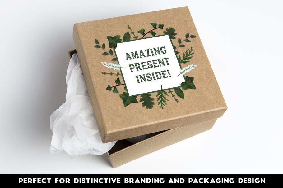 圣诞节矢量花卉AI笔刷 The Vector Florist – Brushes: Winter插图(5)