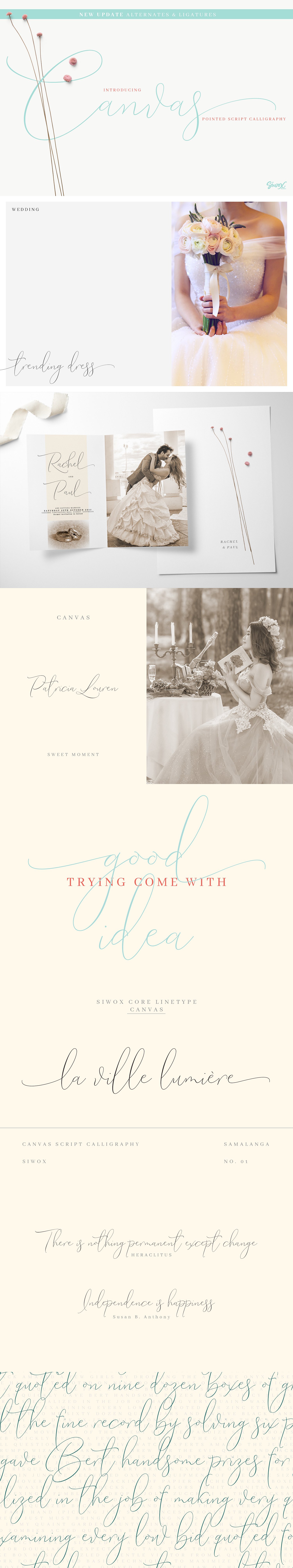 飘逸优雅手写字体Canvas Pointed Script插图