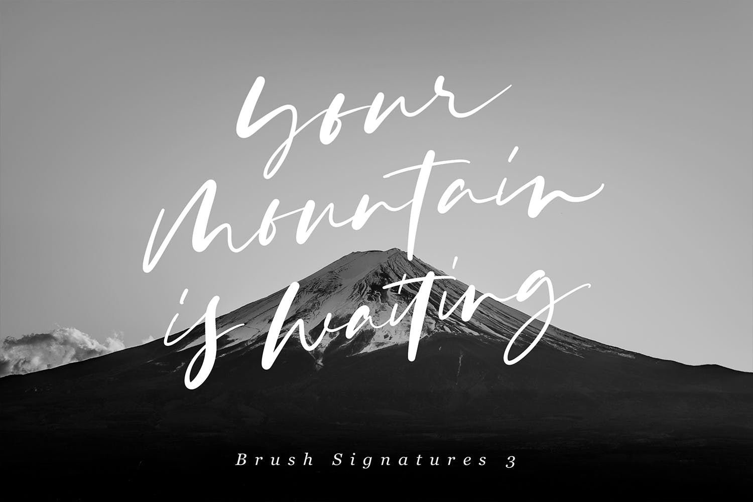 Procreate应用艺术书法字体笔刷合集插图(4)