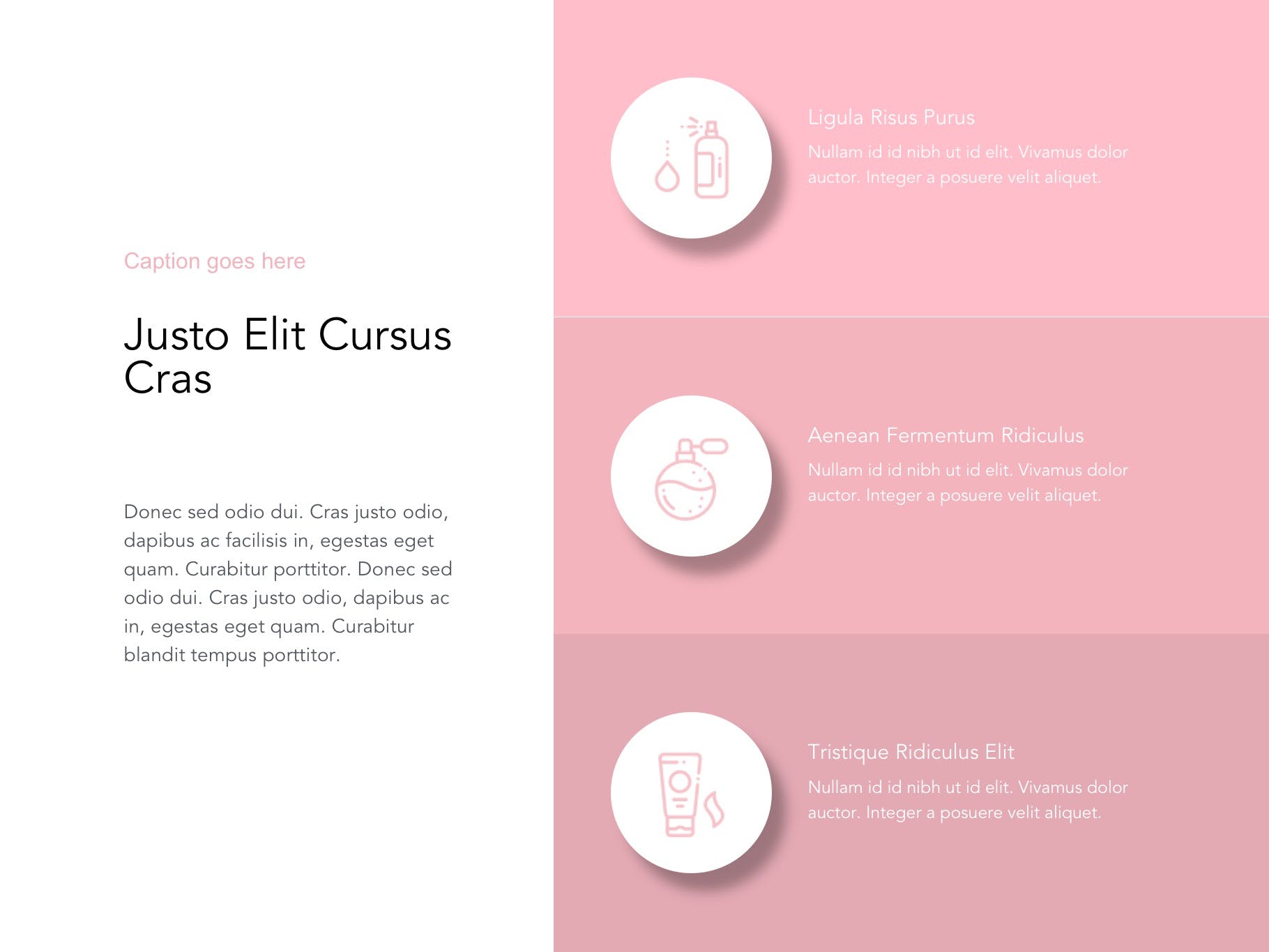 美妆行业主题谷歌幻灯片模板下载 Beauty Maker Google Slides Template插图(10)