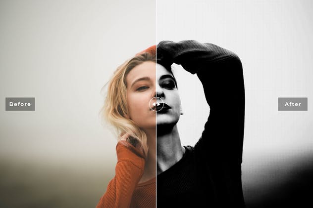 PS半调图案Photoshop动作 Pinhole Halftone Photoshop Actions插图(2)