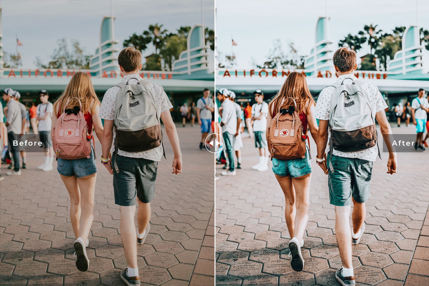 迪士尼乐园游玩摄影必备LR调色滤镜合集 Disneyland Mobile & Desktop Lightroom Presets插图(4)