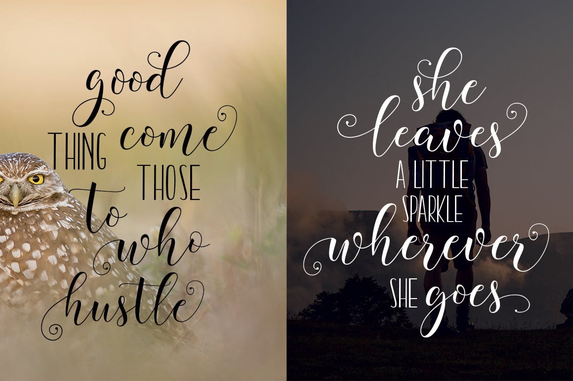 现代英文连体书法花式字体下载 Billgrotia Script插图(4)