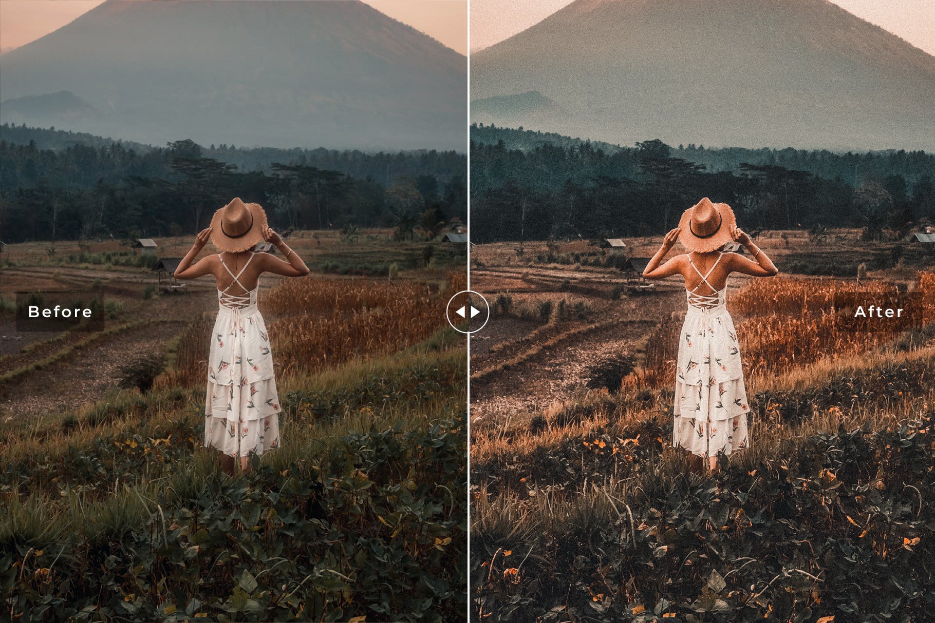 明亮色调风格照片LR调色预设 Bangor Mobile & Desktop Lightroom Presets插图(5)