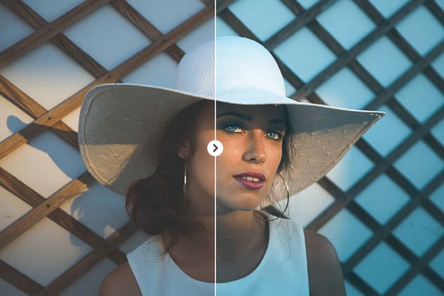 10款人像摄影后期调色滤镜LR预设 10 Portrait Lightroom Presets Ver. 1插图(4)