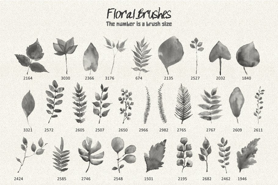 水彩花卉印章PS笔刷 Floral Watercolor PS Stamp Brushes插图(4)
