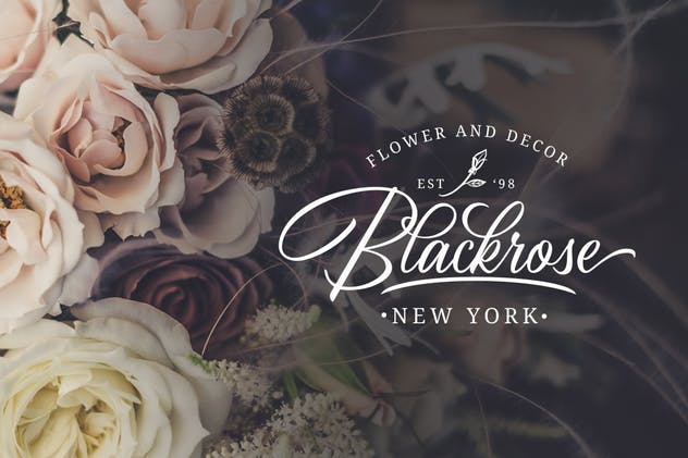 优雅仿真钢笔签名字体下载 Birmingham – Signature Script插图(8)