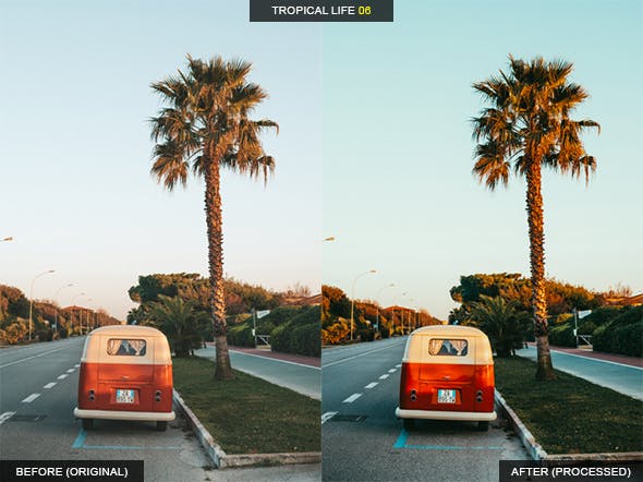 12款热带生活摄影LR调色滤镜预设 12 Tropical Life Lightroom Presets插图(6)