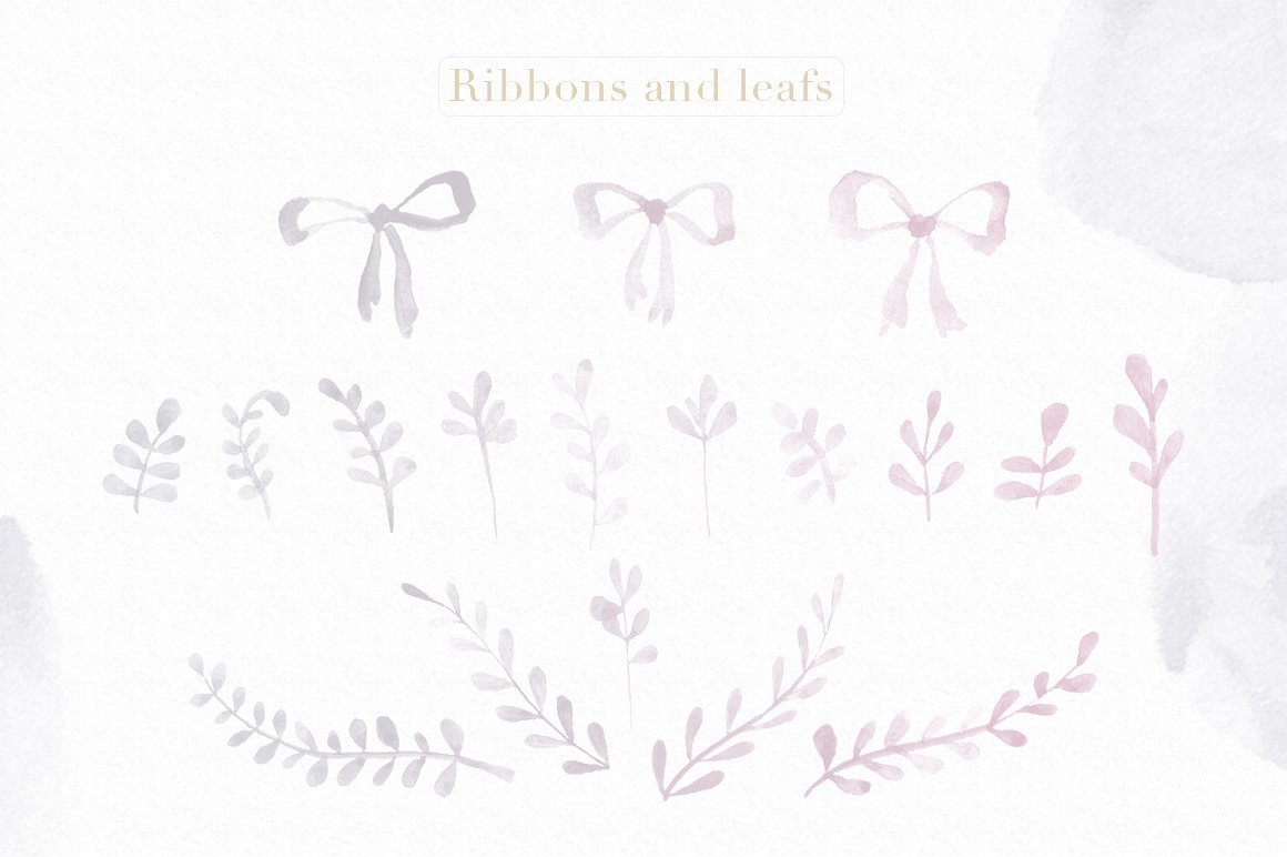 浅灰暗色调花卉元素Photoshop笔刷 Floral Watercolor Photoshop Brushes插图(5)