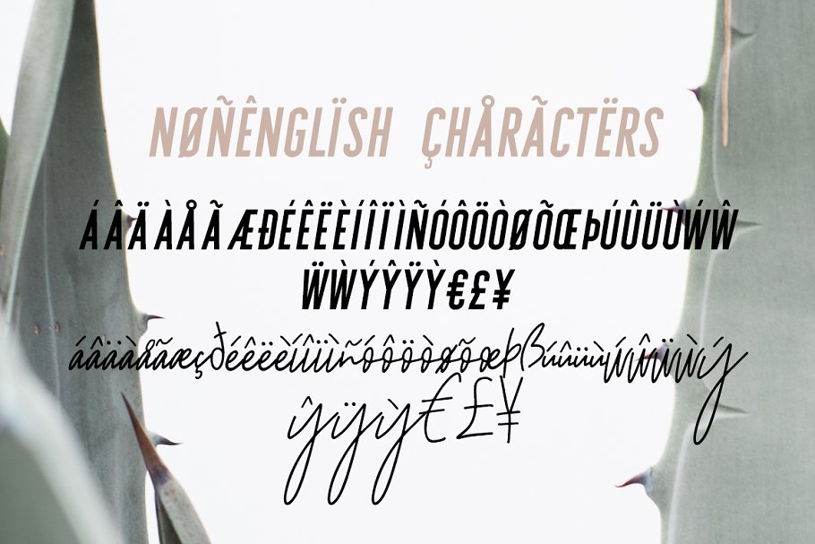 无衬线英文 Logo 字体+Logo 设计模板 Sydney | Font Duo + 12 Free Logos插图(10)