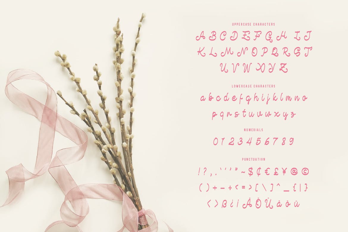 简单浪漫书写风格英文手写字体 Beauty Life – Romantic Handwritten Script插图(1)