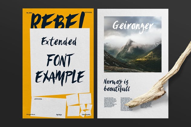 时尚/美容/食品/服装和杂志设计绝配手写英文字体 Sanös Extended Script Font插图(3)