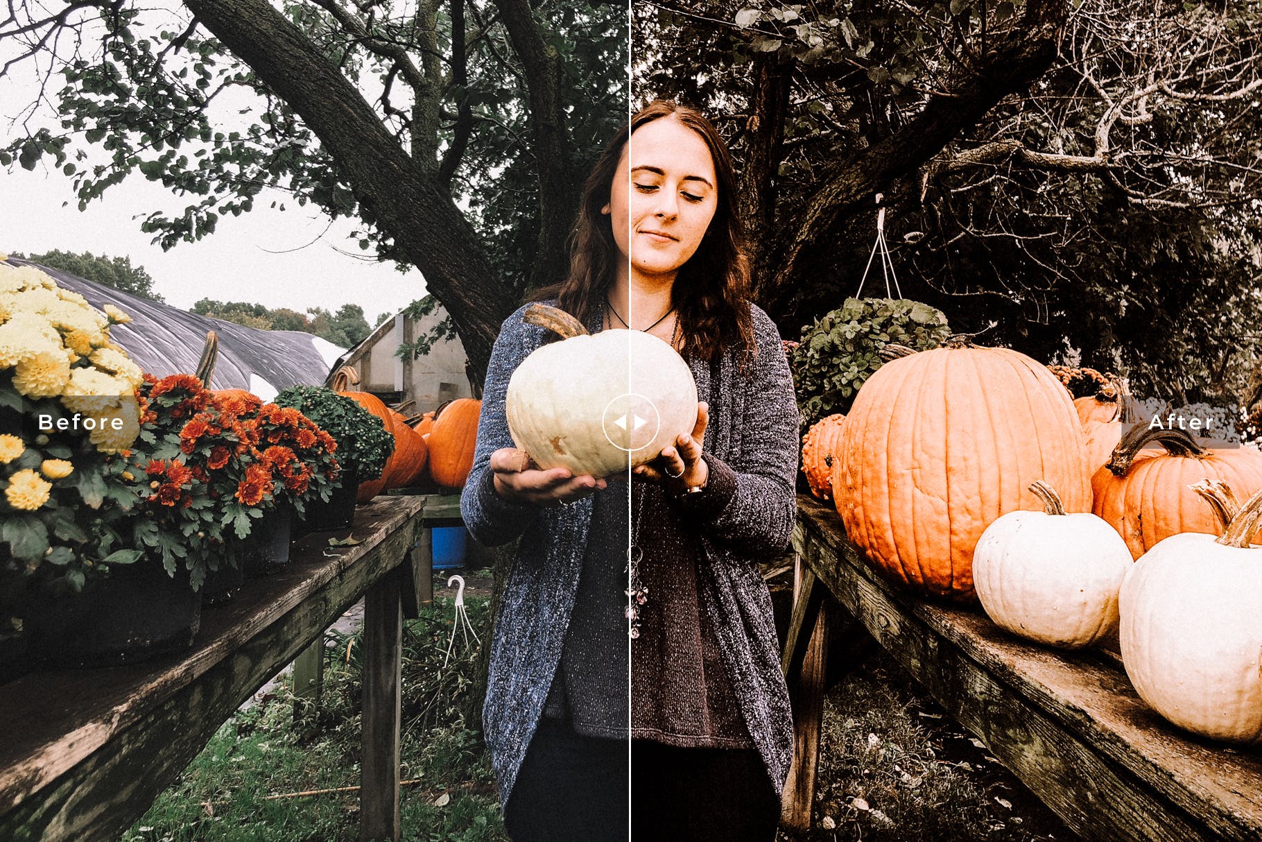 舒适暖色系照片后期处理效果LR预设下载 Pumpkin Mobile & Desktop Lightroom Presets插图(2)