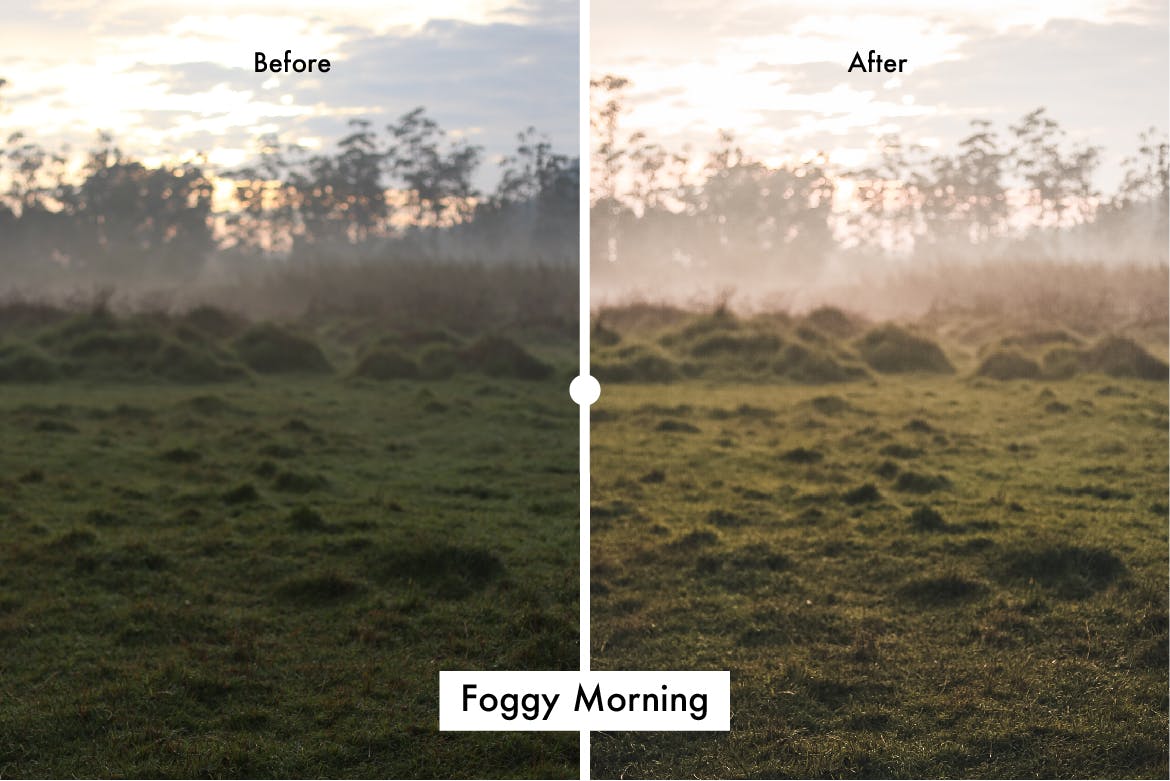 6个自然风景摄影后期处理调色滤镜LR预设 6 Nature Lightroom Preset插图(3)