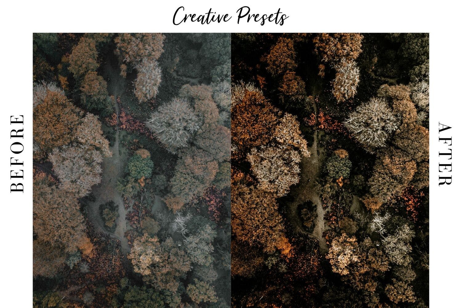 秋季摄影照片调色滤镜素材库精选LR预设 Autumn Lightroom Mobile Presets插图(5)