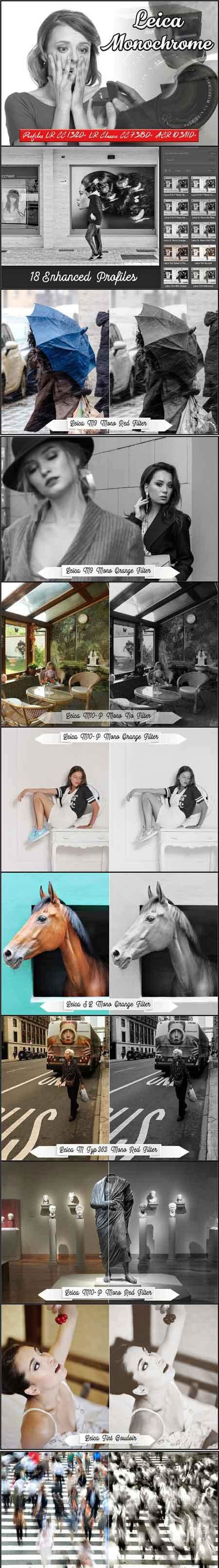 徕卡高端黑白照LR动作预设下载 Leica Monochrome profiles LR ACR插图