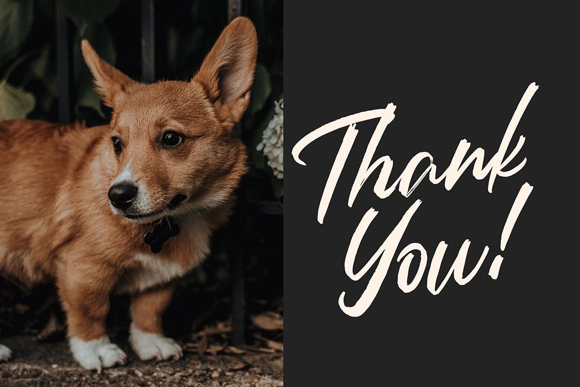 英文画笔书法字体 Rantheme – Stylish Brush Font插图(4)