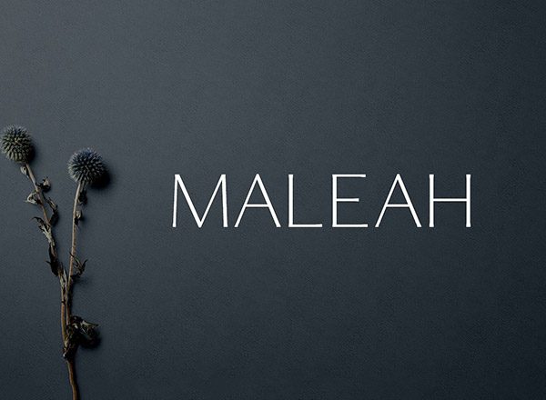 一款优雅的现代无衬线字体 Maleah Sans Serif 2 Font Family Pack