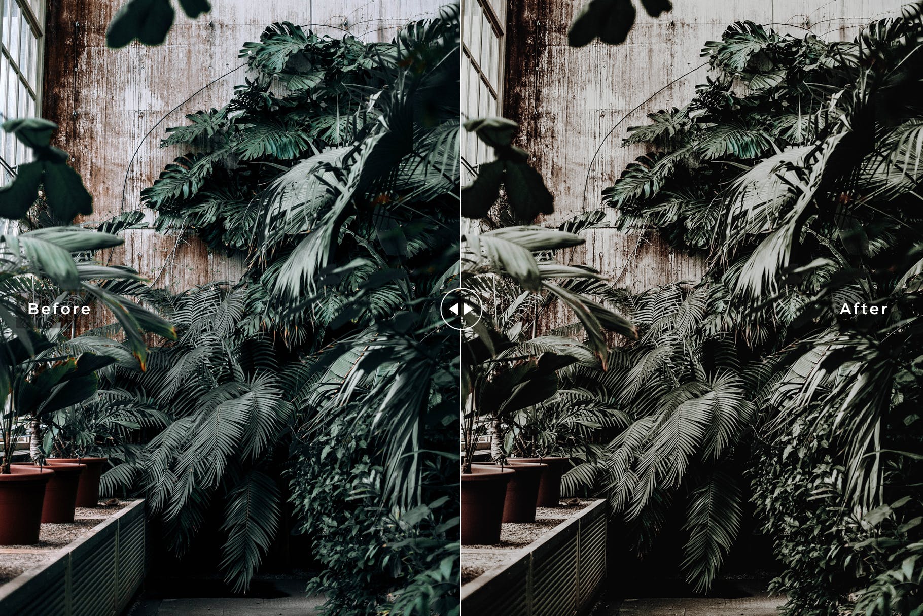 菜鸟也能产出大师摄影作品-LR照片调色预设 Botanical Mobile & Desktop Lightroom Presets插图(3)