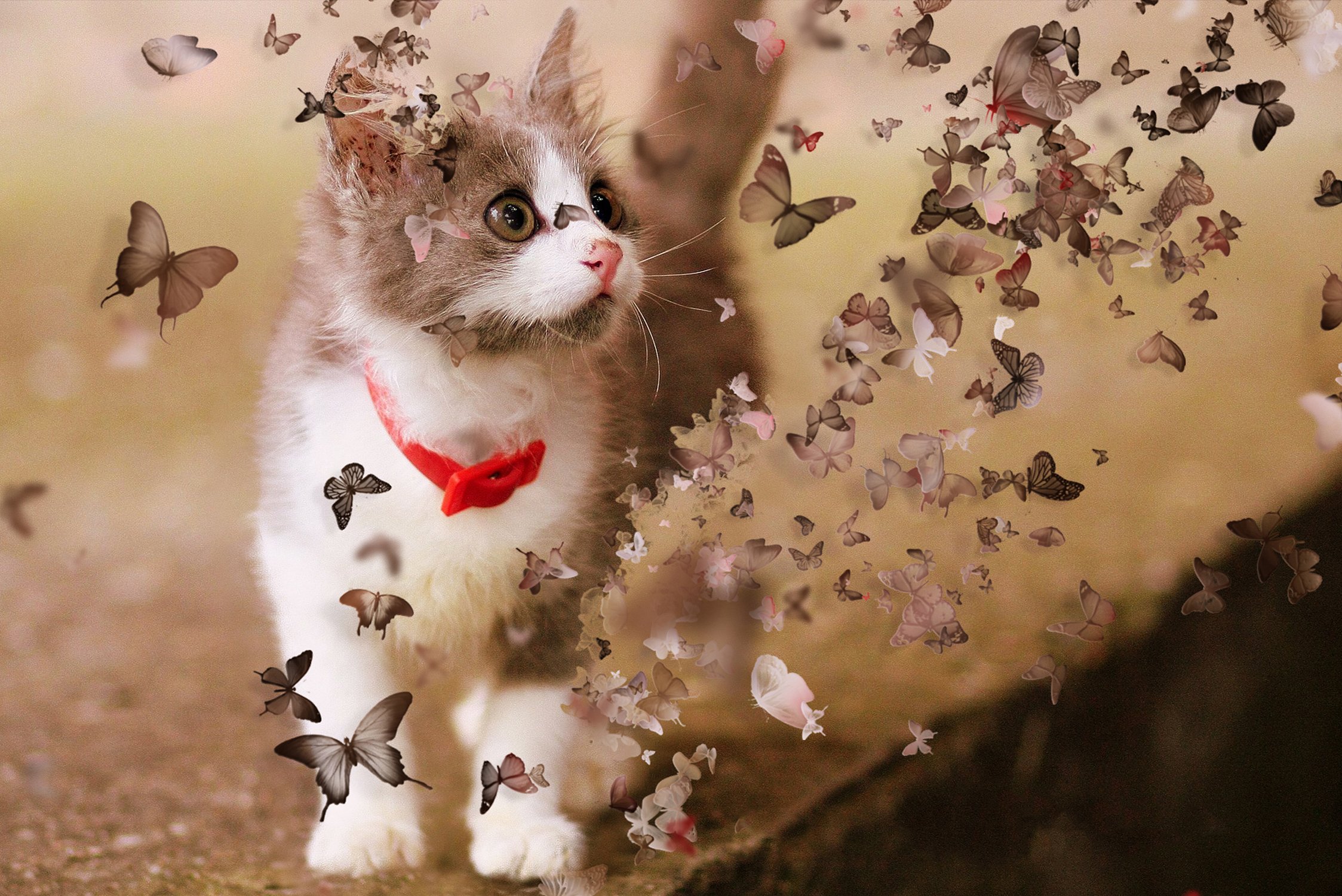 炫酷逼真色散消失效果PS动作 Dispersion Actions Bundle插图(5)