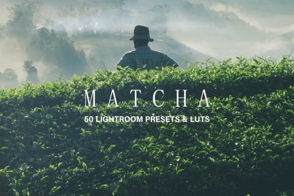 50款绿色背景摄影后期调色处理素材库精选LR预设 50 Matcha Lightroom Presets and LUTs