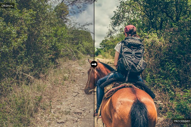 10款丛林大自然摄影照片后期处理LR预设合集 10 Into The Jungle Lightroom Presets插图(2)