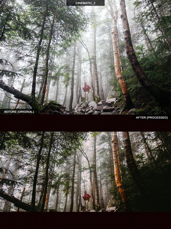 14款电影胶片风格Lightroom调色预设 14 Pro Cinematic Lightroom Presets插图(2)