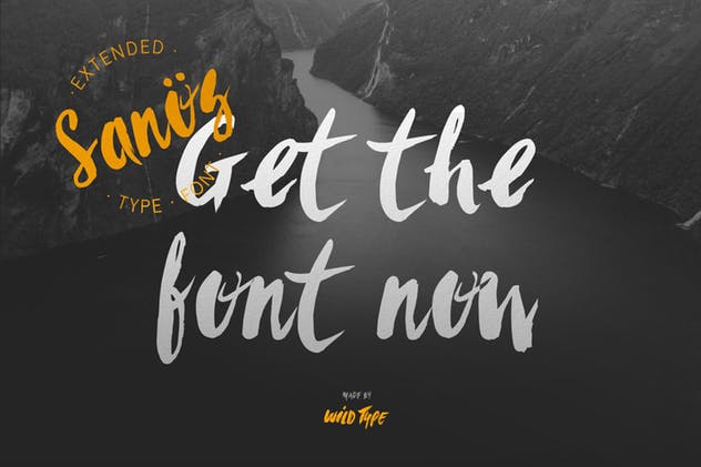 时尚/美容/食品/服装和杂志设计绝配手写英文字体 Sanös Extended Script Font插图(9)