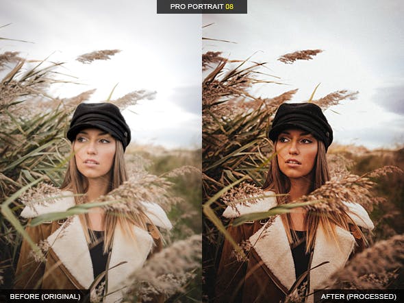 12款专业人像摄影美颜滤镜LR预设合集 12 Pro Portrait + VSCO Lightroom Presets插图(8)