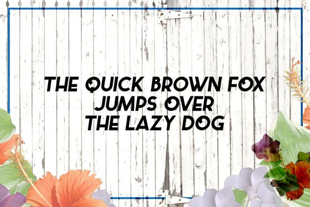 简单，大胆＆俏皮无衬线英文字体 Facile Italic插图(1)