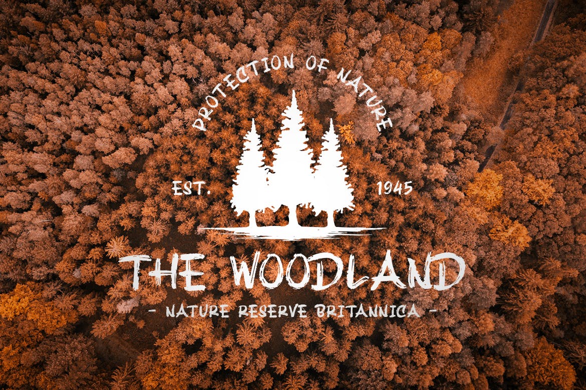 干笔刷纹理英文手写字体素材库精选装饰字体素材库精选 Earth Tracks – Brush Texture Font插图(2)