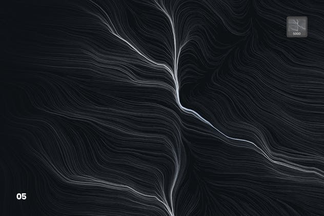 10款高分辨率抽象数流体线条PS笔刷 Digital Perlin Flow Fields Photoshop Brushes插图(5)
