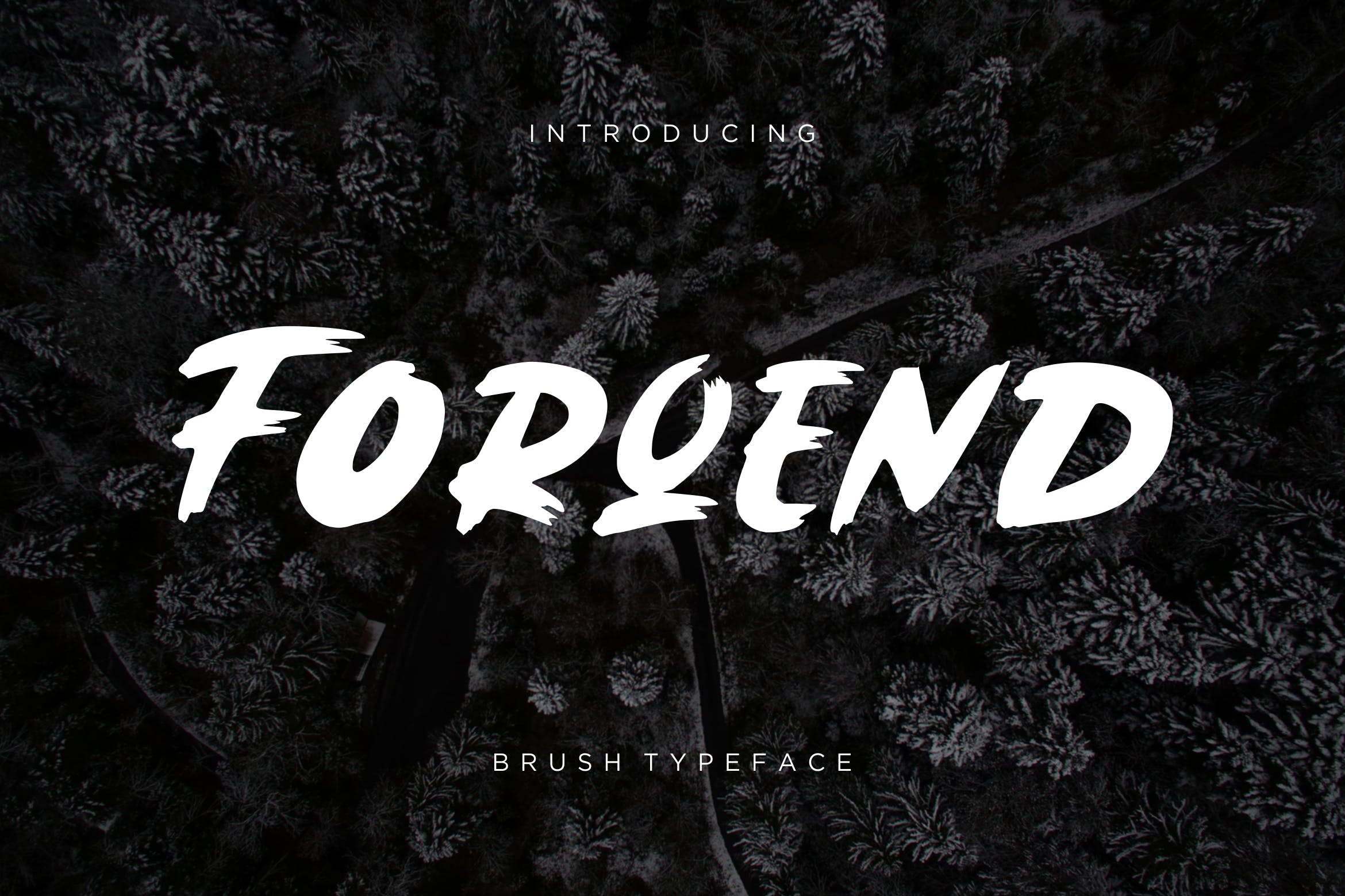 圆润厚实英文笔刷字体下载 Forqend Brush Typeface插图