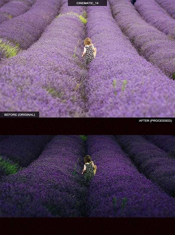 14款电影胶片风格Lightroom调色预设 14 Pro Cinematic Lightroom Presets插图(14)