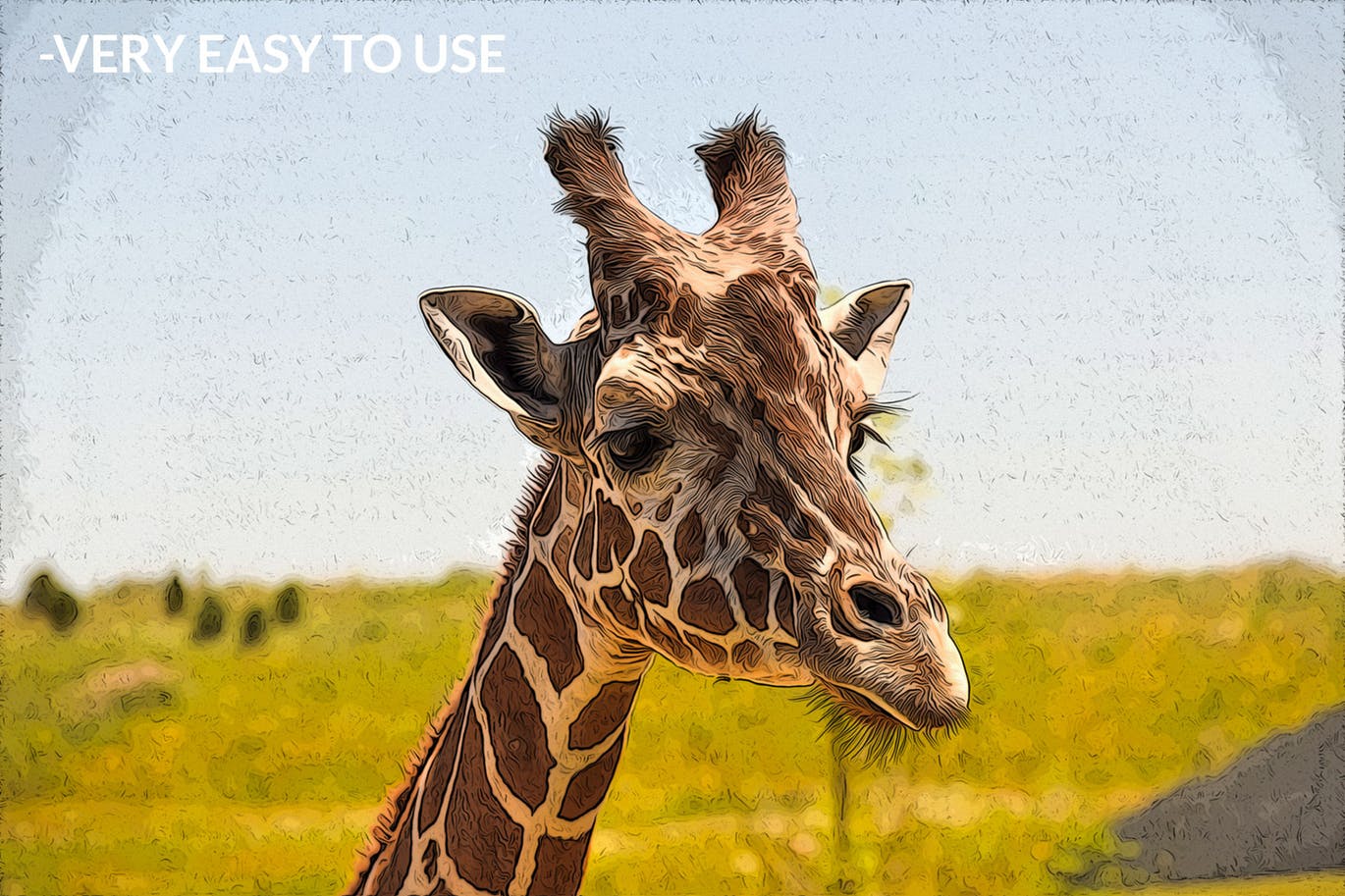 PS油画效果及卡通油画一键生成PS动作 MicroPro Cartoon Oil Photoshop Action插图(3)