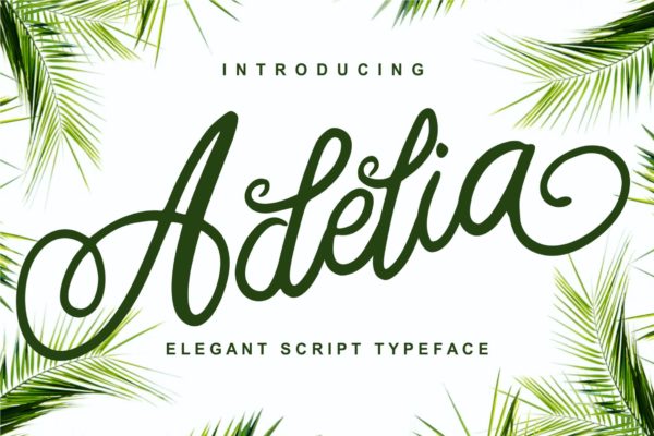 优雅笔画线条英文草书字体下载 Adelia – Elegant Script Typeface