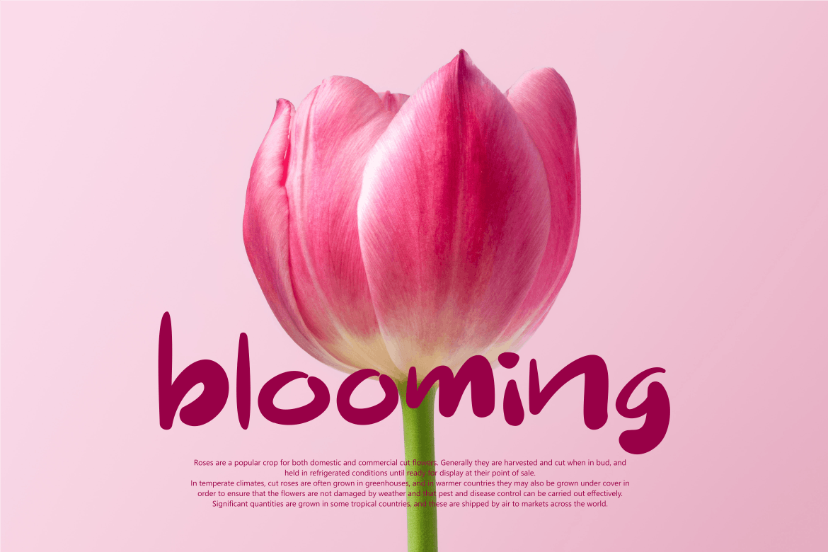 别致手写风格英文无衬线书法字体素材库精选 Hakuno – Chic Handwriting Font插图(3)