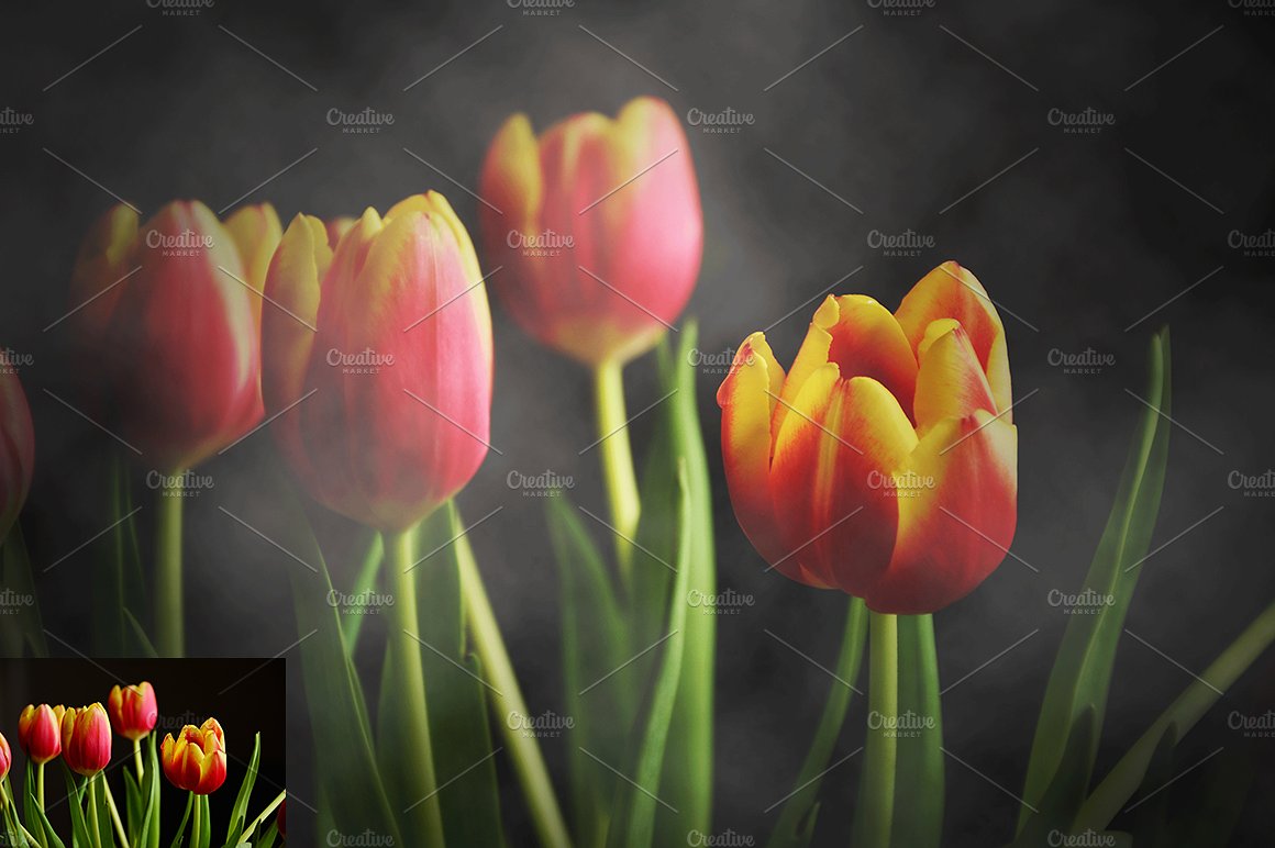 给照片添加烟雾效果ps动作插图(2)