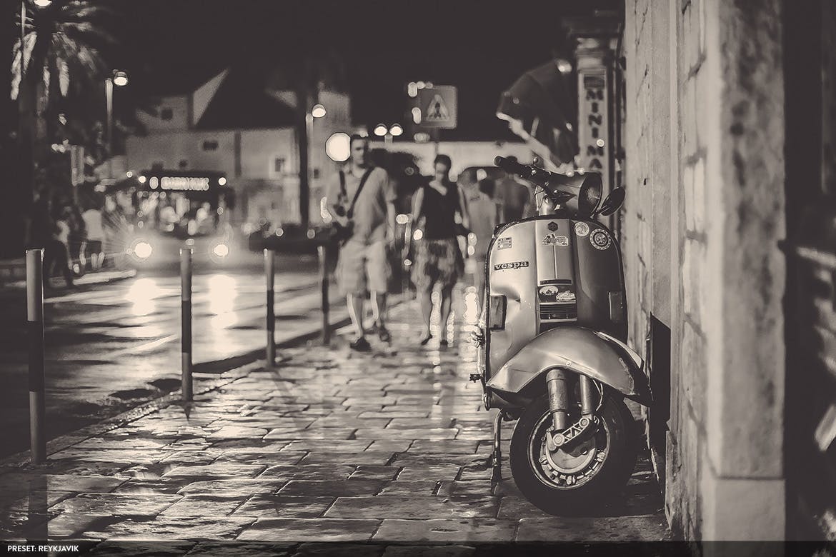 20款摄影大师级别黑白色调风格生成PS预设v3 Monochromatic Vol. 3 – 20 Photoshop Presets插图(3)