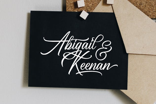 优雅仿真钢笔签名字体下载 Birmingham – Signature Script插图(1)