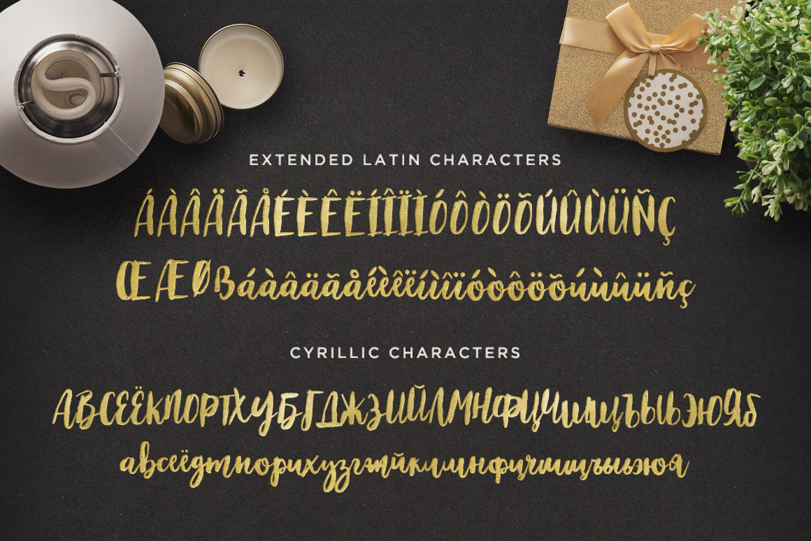 手写英文字体 Maloishe Brush Script Font(含网页字体)插图(3)