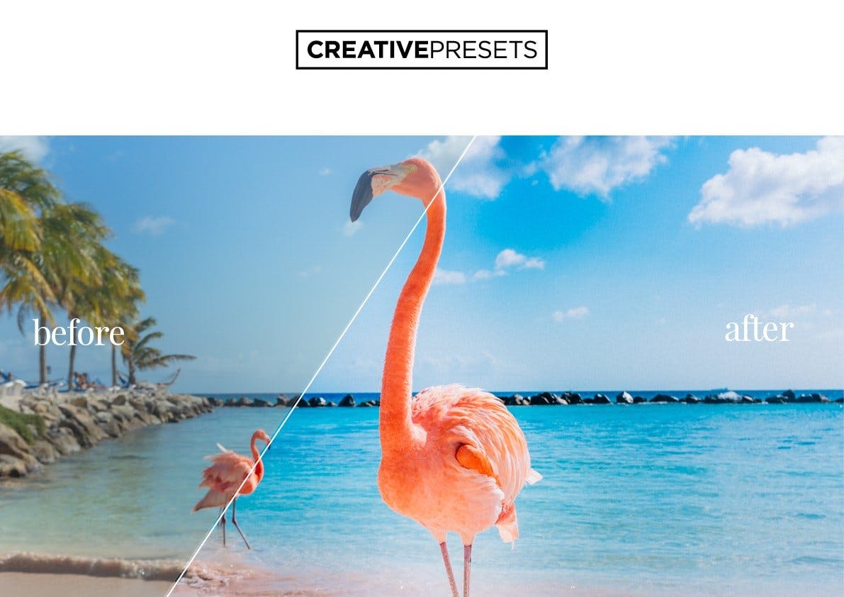 Vivid色彩模式创意摄影师照片调色LR预设工具 Vivid Color Lightroom presets插图(8)