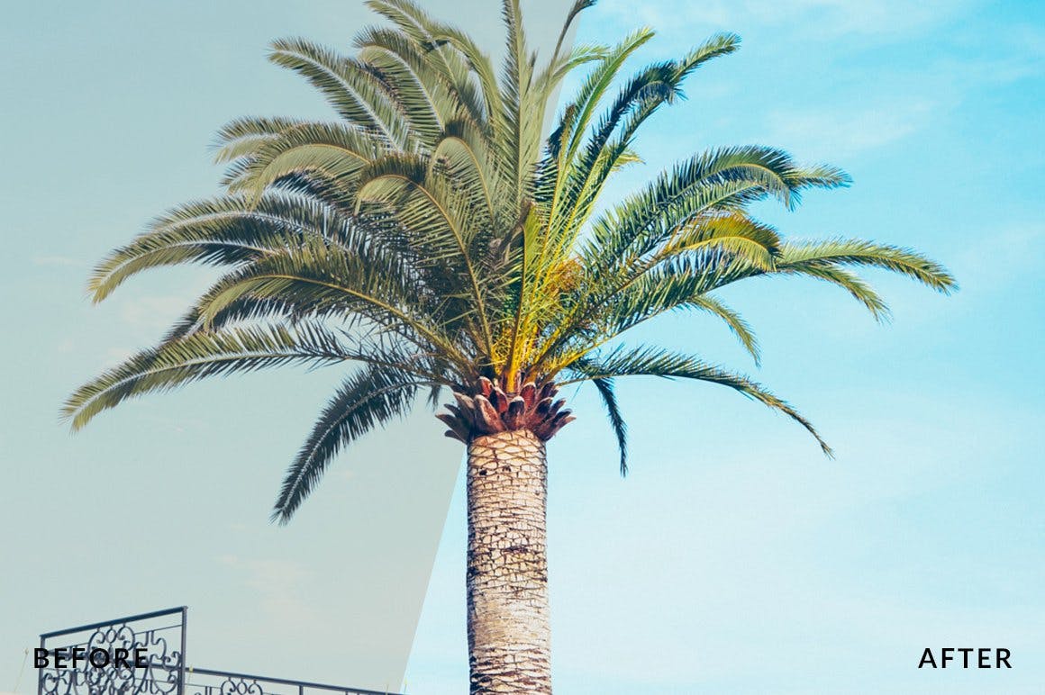 Instagram照片风格滤镜Lightroom预设 Instagram Presets for Lightroom插图(2)