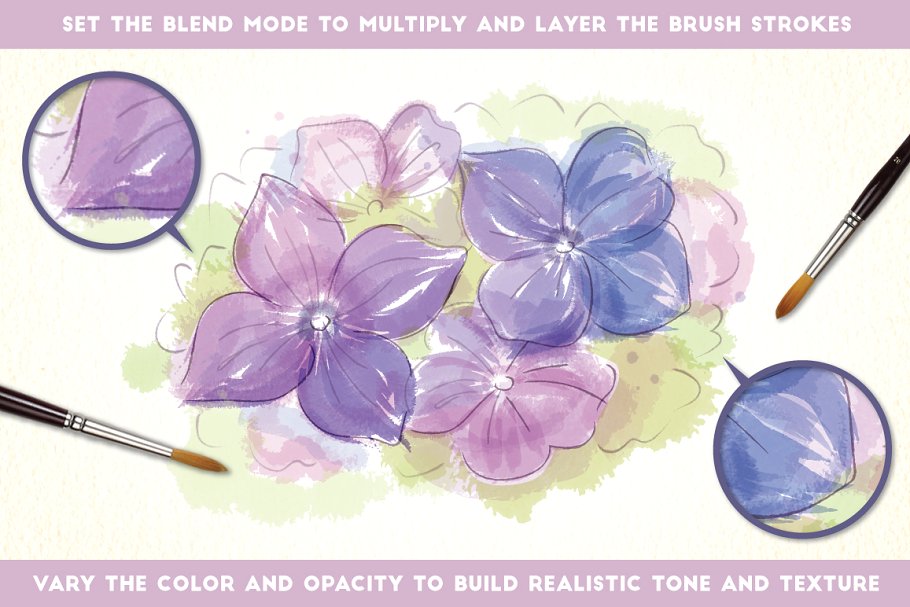 55种水彩画笔画AI笔刷 Watercolor Brushes插图(2)